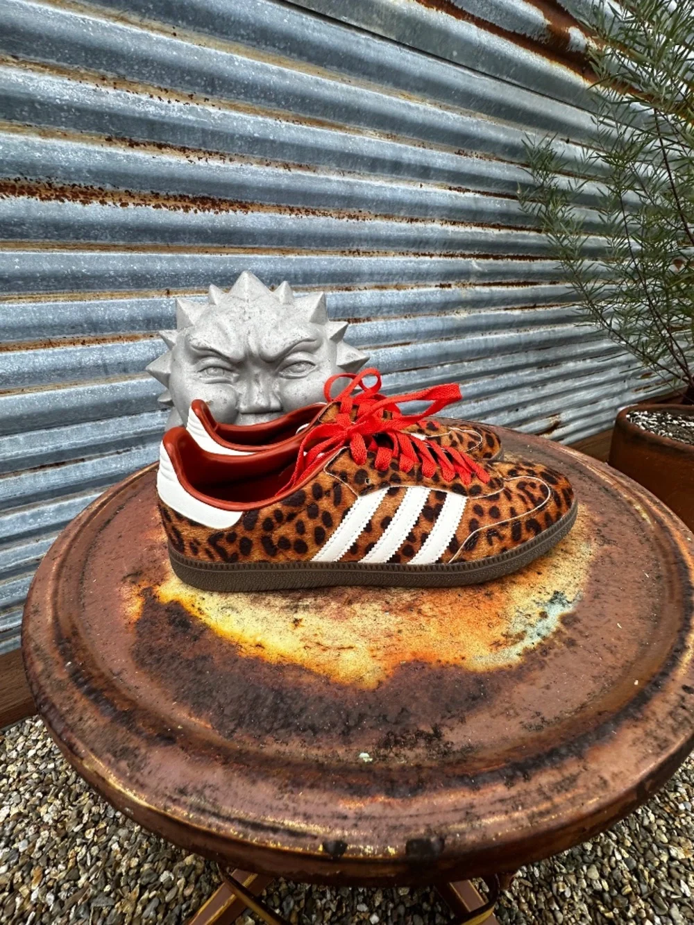 Adidas Leopard Print Samba OG Sneakers 🐆♥️ Men’s 8 Women’s 10 - Picture 3 of 7